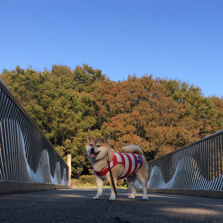 F154a71d d5b9 4d18 9de3 64c368280a62 1573204318589