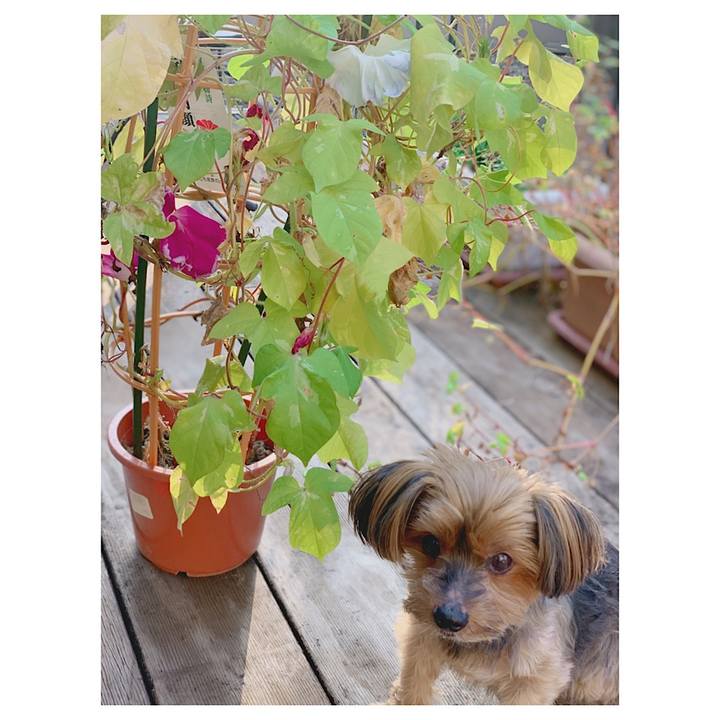 F154a8dc b7fb 4bf9 9a65 dff362eb8cc7 1633385838433