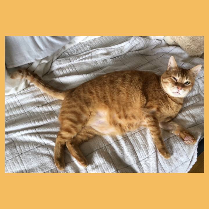 F154aa11 d093 4390 a8af 6dc0028ea952 1594674597298