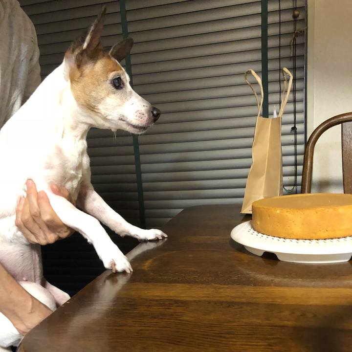 F154ff36 e8f3 4ac7 84f7 e21a1f350a5c 1527120693530