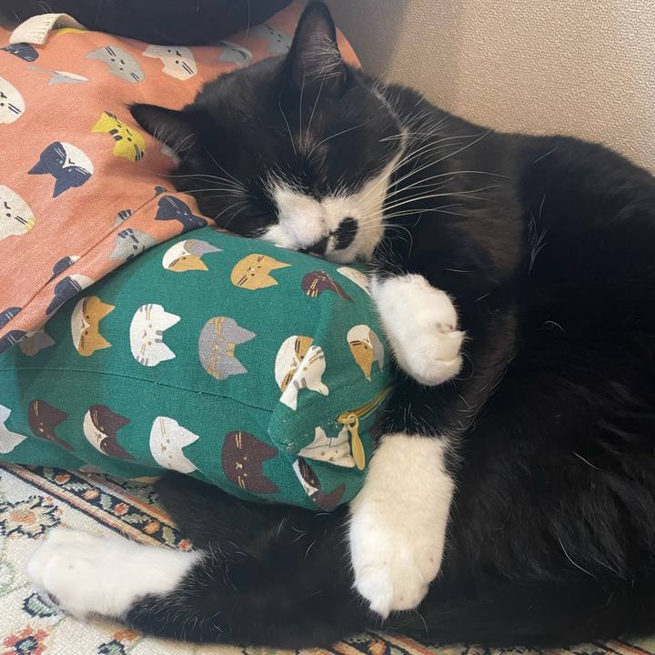 F1550e2e c442 4c70 93ba 343e8d4232d7 1751840800082