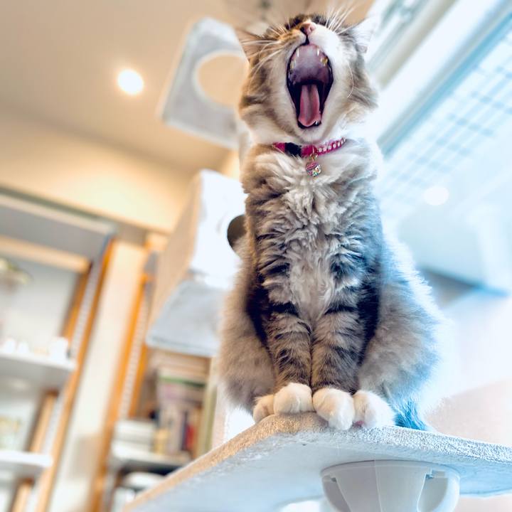 F15511d0 b458 4bfb 995f 4aa56d30d1e3 1690858082767