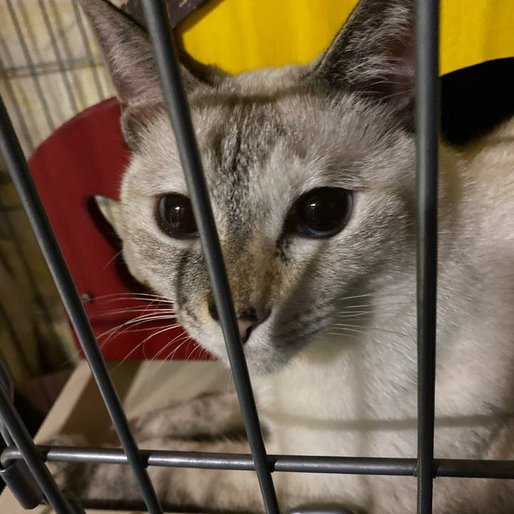 F1551b00 112b 49a5 8390 885005a0948d 1663506210309