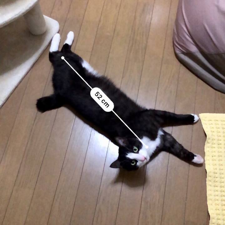 F15596b8 5e81 4542 ab21 c225789f9bae 1555505976934