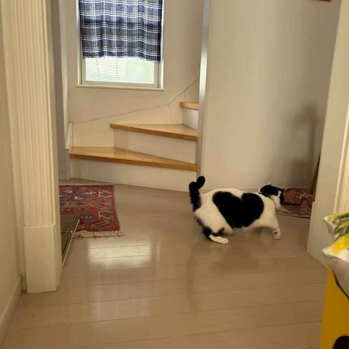 F1560e4c 7403 4614 afeb 4992d9cd7f74 1769555807765