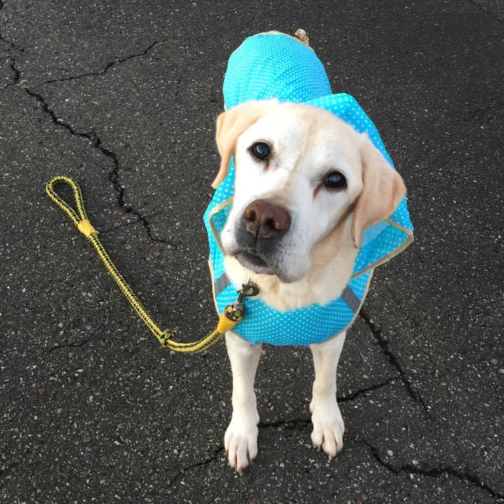 F156331c b434 4819 a0d6 9e55a55f39c5 1562121334512