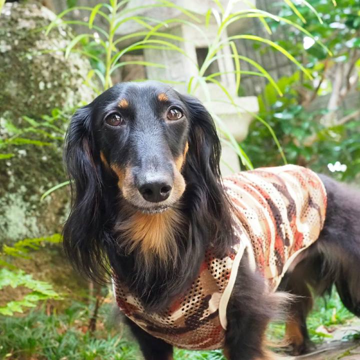 F15643c8 473d 47c7 bec0 ea84c6954a0f 1534644206045