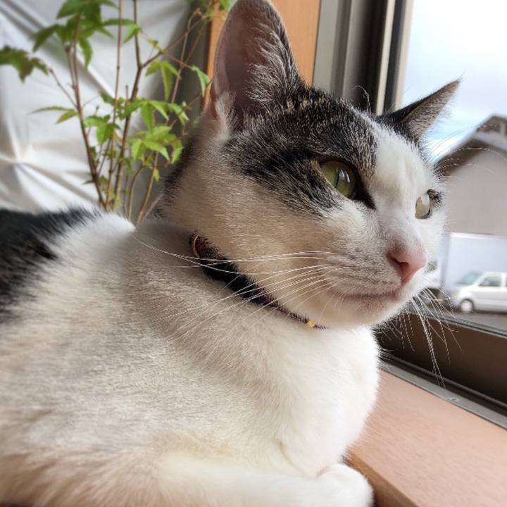 F1565b8f 59ec 4d92 8e92 b183cd502aca 1630714986918