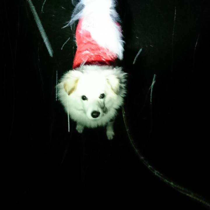 F1565cc9 20e4 4917 8a14 b229abd26209 1513459783237