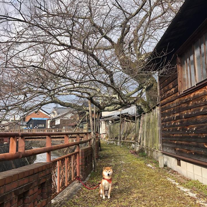 F1566d58 53ab 437a 9d07 b247e11bdab4 1551942475031