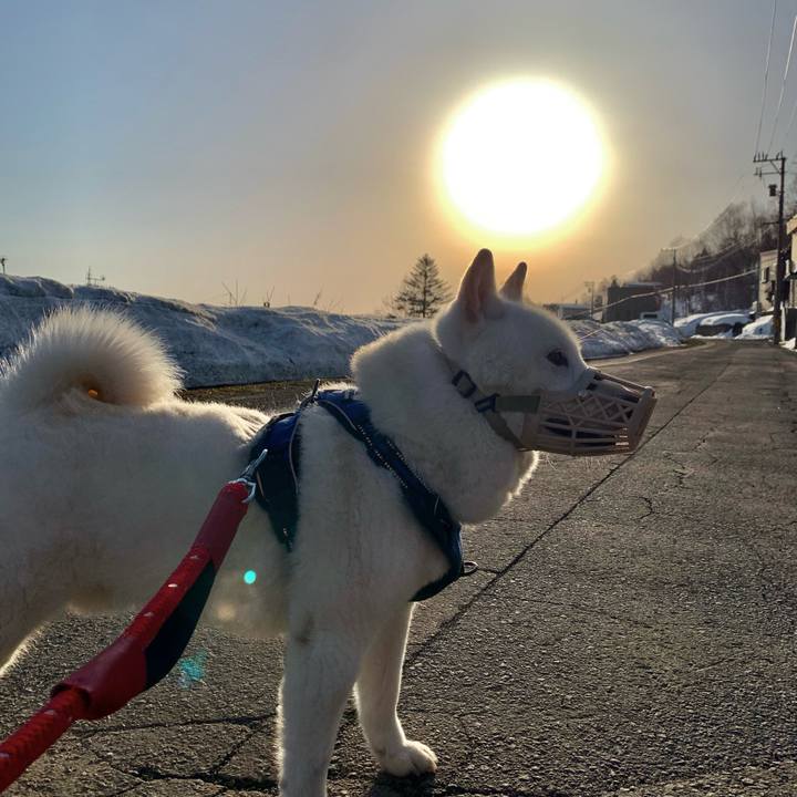 F1568308 b2cf 465c ad2f b36bc2d9d908 1648504466897