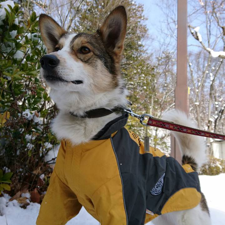 F156a9c9 3b3f 494b b152 cf99a7753acc 1514627415518