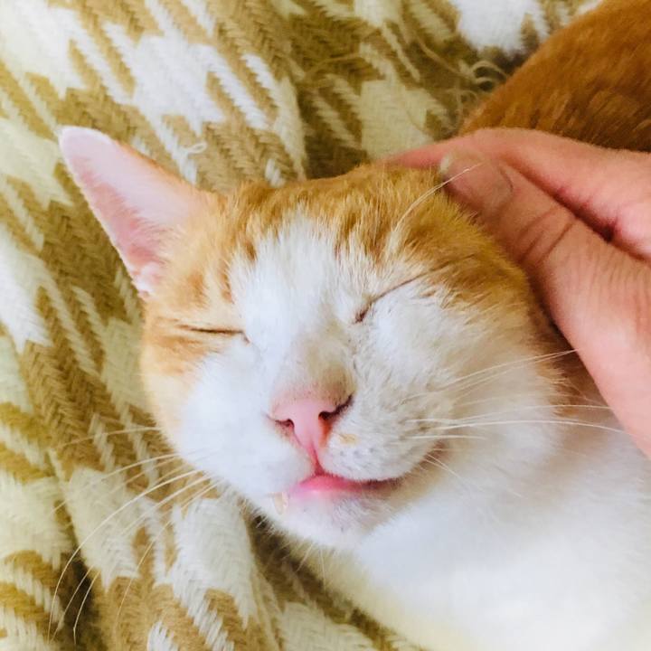 F156aab4 7d5b 4794 a294 dbd0fd48ab28 1563177901541