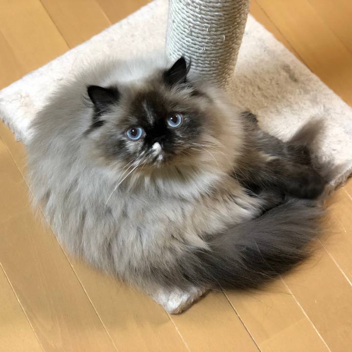 F156b08c ce2d 4c85 ba25 23ddcef70b64 1660564356564