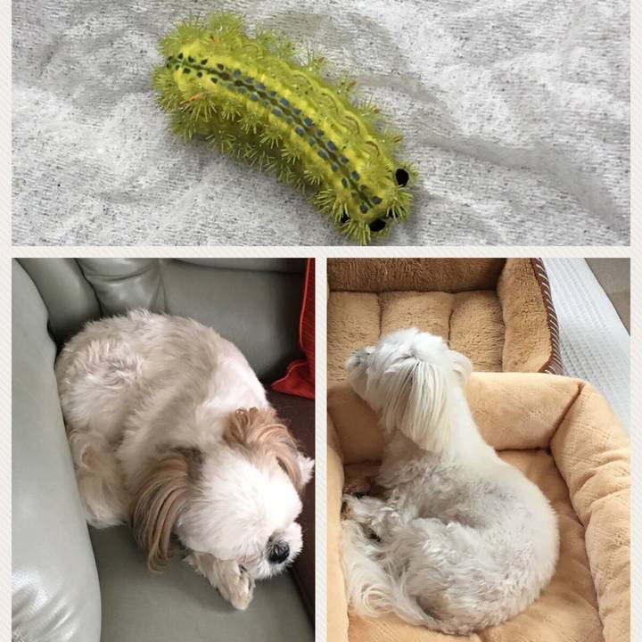 F156bdc7 5d4c 4d1f 8c61 922b80fab315 1539223950256