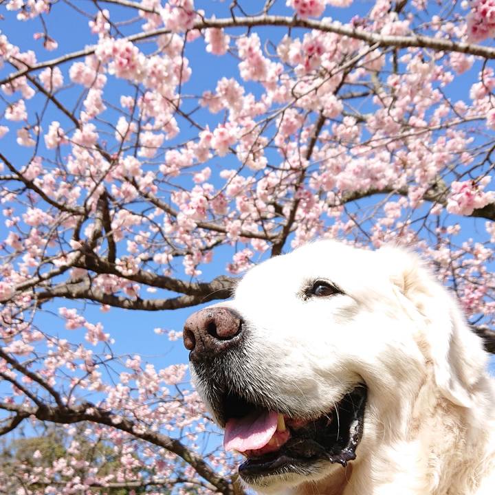 F156c0b3 0ef6 46f6 afab 009d2f670dac 1582601643902