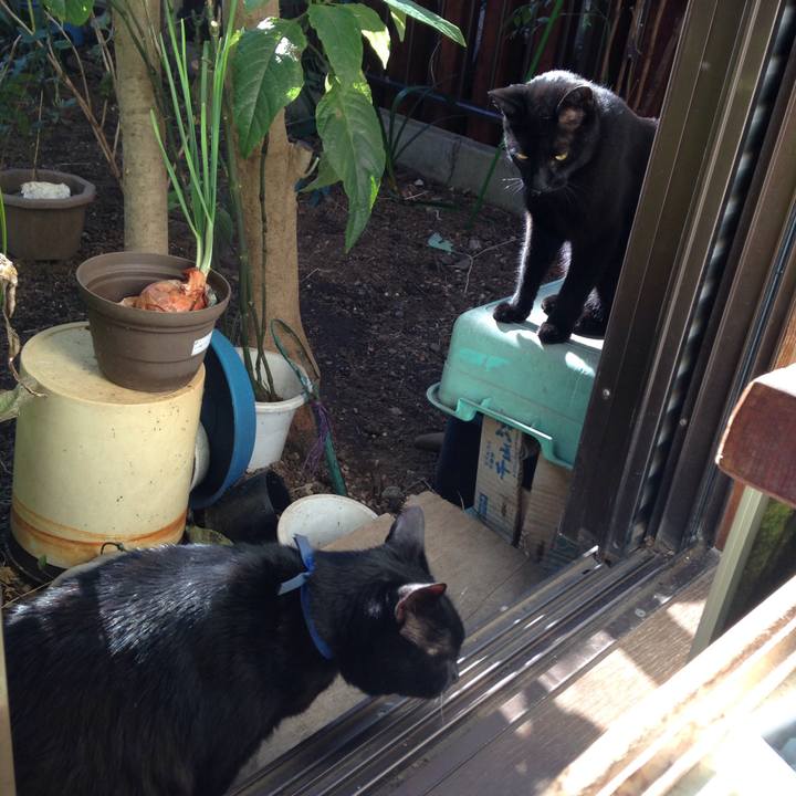 F157615e a38c 4c1b adf3 7c98b7b7f697 1511256741102