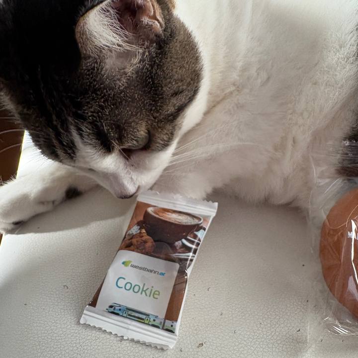 F1576952 242c 4e15 a200 54abfd04c071 1757486452787