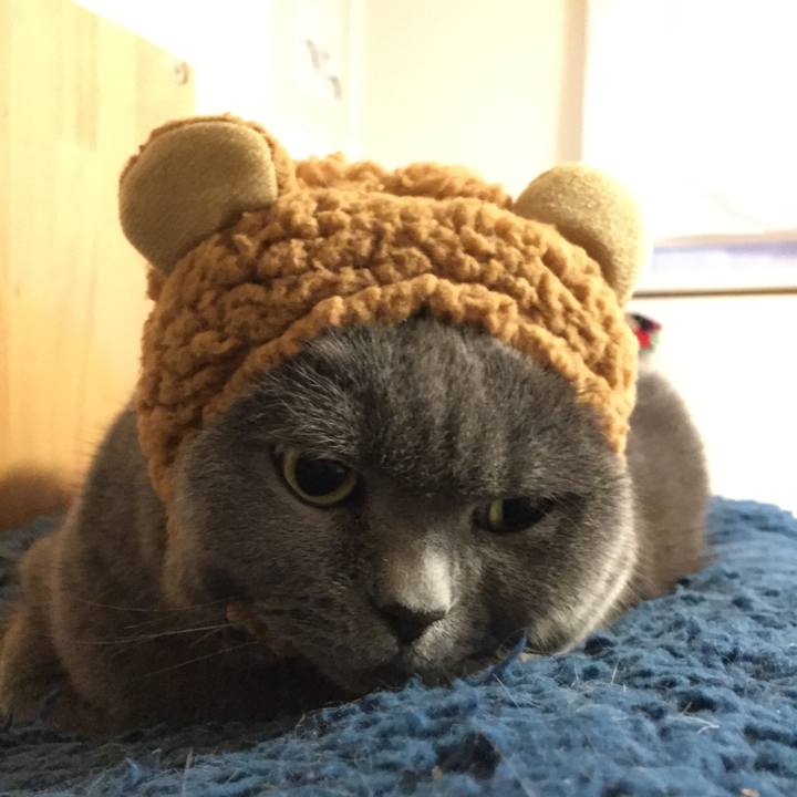 F1578066 5268 4e26 ab43 918f81f09beb 1515334617582