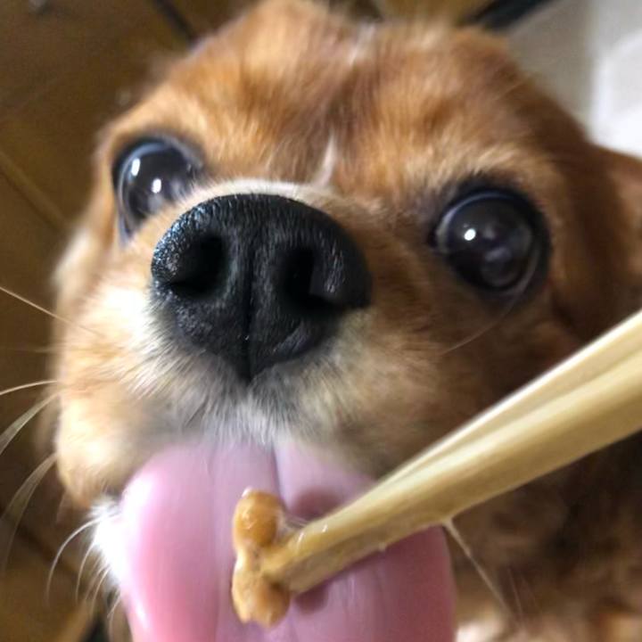 F157ce19 06d0 4ed9 bf3e ce2344e64556 1611576779009