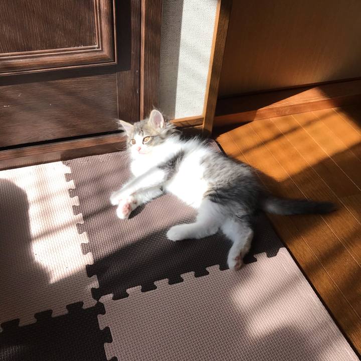 F157d8f5 9d8f 4a3a a11e 10e557ddf8fa 1573621134241