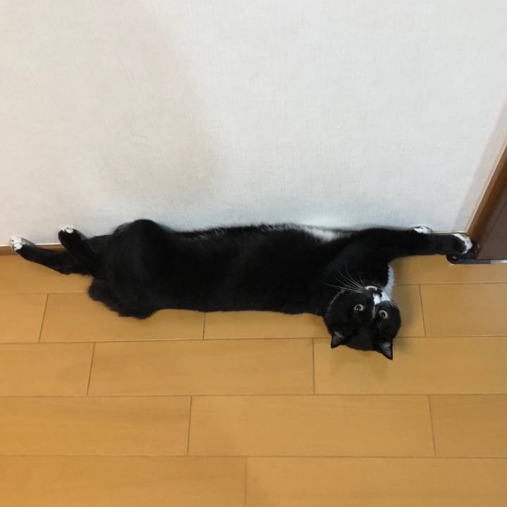 F157df49 82d5 4880 a38c 47b02b2debf2 1552103384008