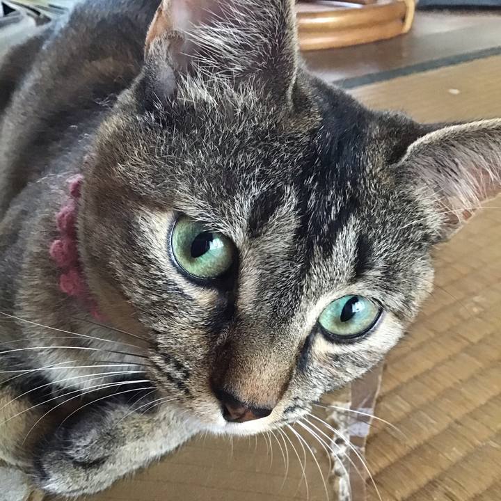 F157fc60 b559 4f9b 852b 1dbdb7c14ca1 1593584434137