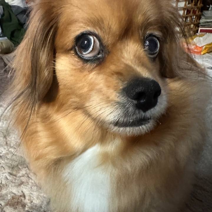 F157ffcd 4a40 49e3 934f cabd71a68b08 1681852054623