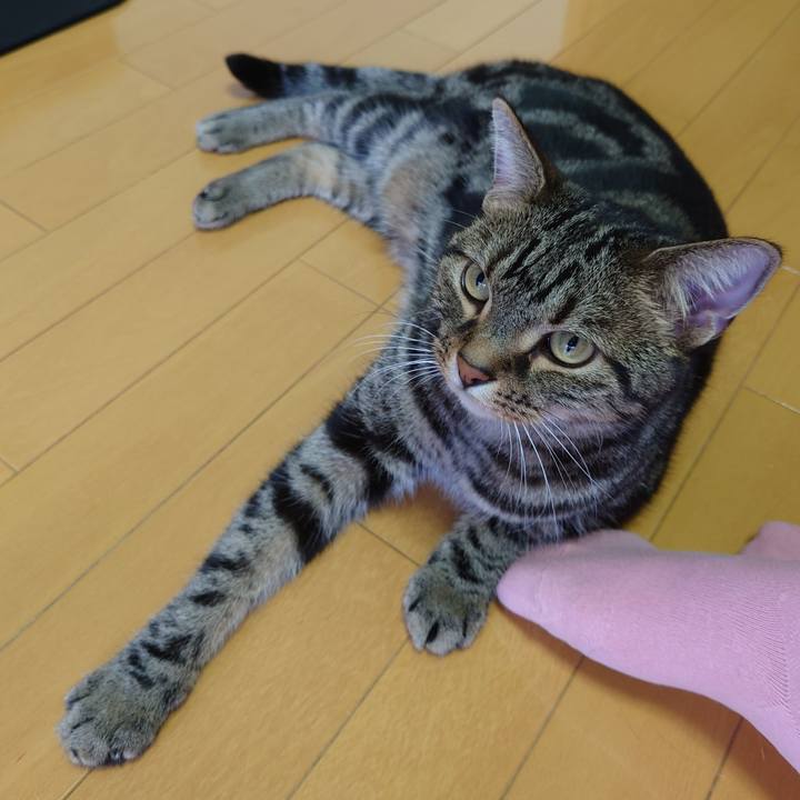 F158332d b632 4340 96cd e934e06edcfb 1630461679981