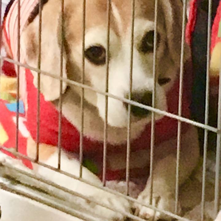 F1583bf5 ab1d 4d68 ad1c fde841de70d8 1763108564284