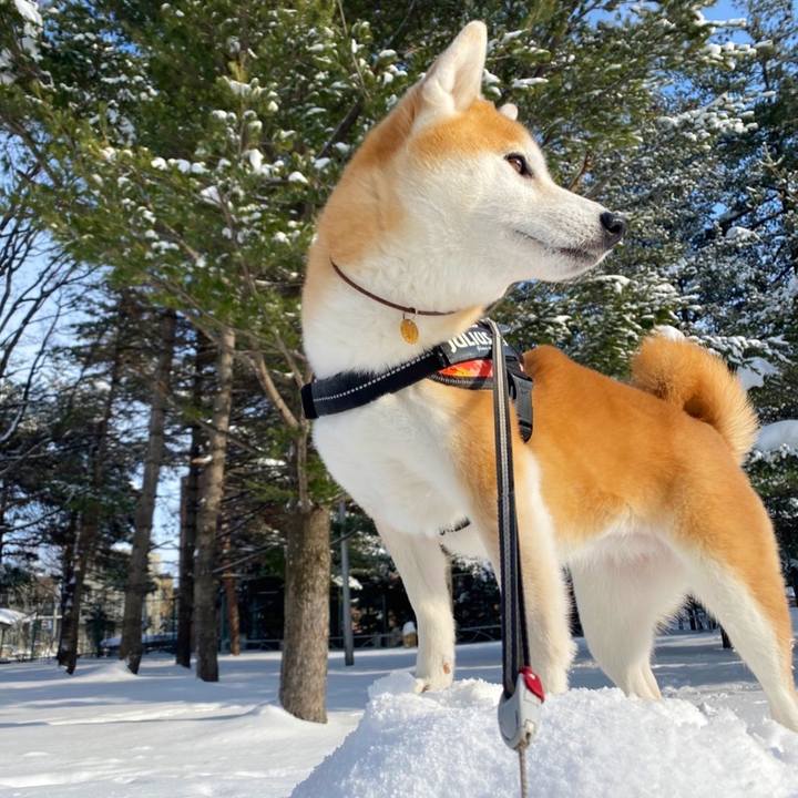 F15858c3 81a4 4c9f 8fbe fd08a275a69a 1641089949367