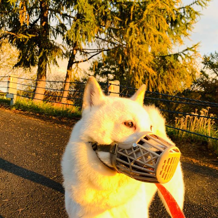 F15862e3 5fc7 4057 be6c 40aa3f4166e3 1604012254484