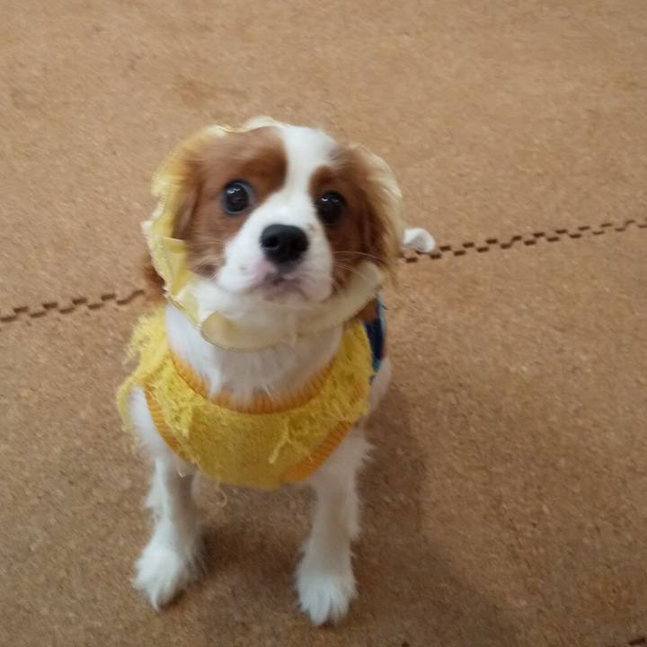 F15876f6 6a39 4a05 946d 5774e6dabff9 1574393481127