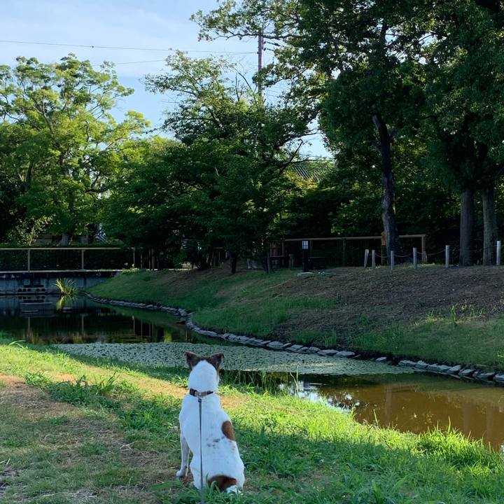 F158823d 18fb 488c bd29 8ea2ce19dc08 1597357800797