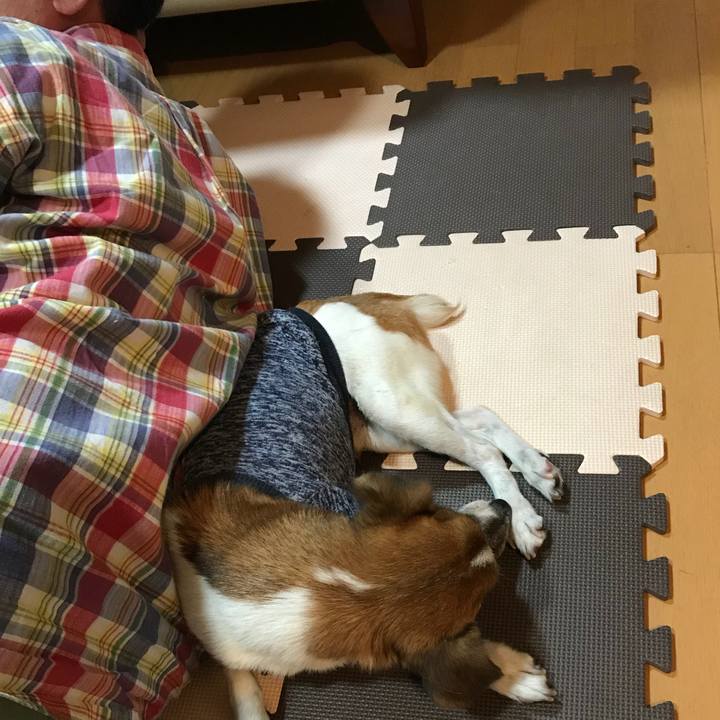 F1589dab 1b7c 4a98 abe1 1ef286031690 1538223213979