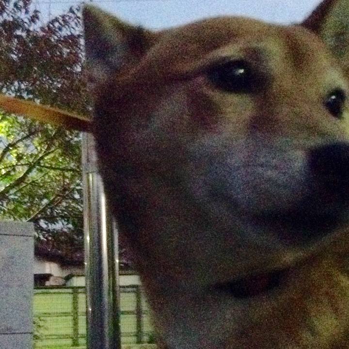 F158a8a7 803f 43ee ab91 ffbec7cf2306 1510042912819