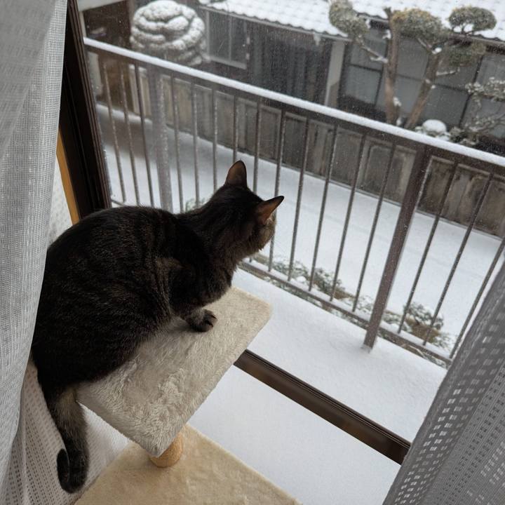 F15906b2 8a7e 4f09 97ed 562207feaf7b 1738730362203