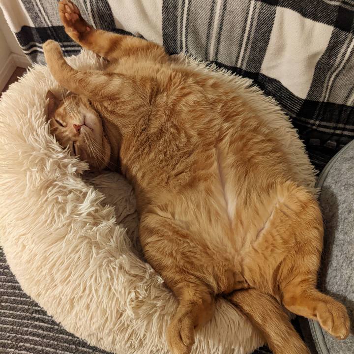 F15982d2 be71 47bf a2c4 5f08d9872214 1659049767451