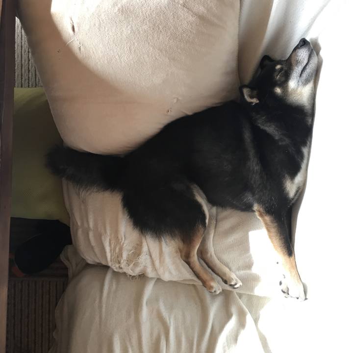 F1598364 4e3f 40f4 b550 7252b4160ac2 1508216485518