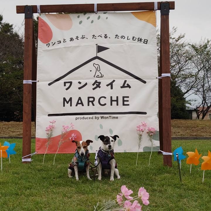 F1599324 0415 4f21 9439 0508c007ea12 1758355612098