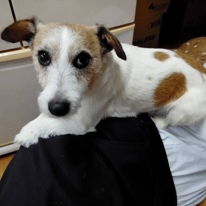 F159a849 83e7 41bc 87db d1c8e658dc6b 1541315887332