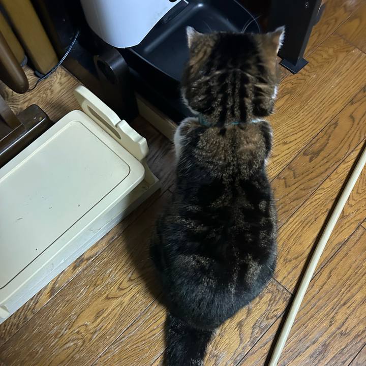 F159ac83 fc38 44ac 8c38 86b317f3d3aa 1765918852055