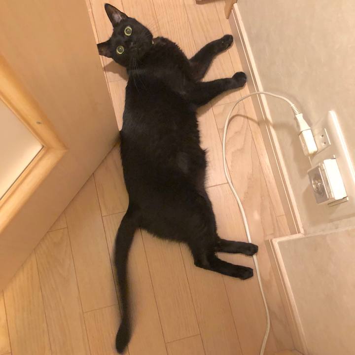 F159b70c c8d0 4de8 a6e3 8e4700dd24be 1534520881025