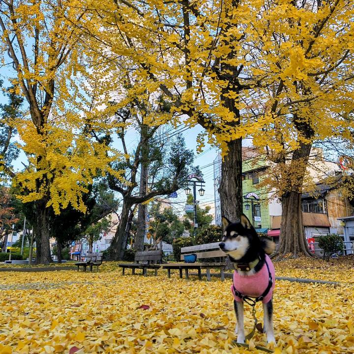 F159bd92 ac56 455f 9c68 173b79880f56 1764819010758