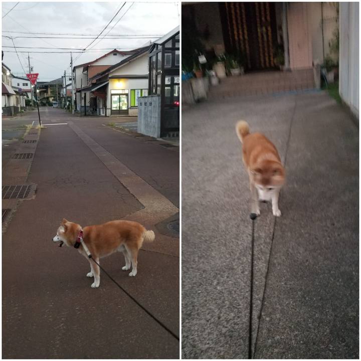 F15a257c f7f2 4cf1 b565 0edf0421c274 1753698241048