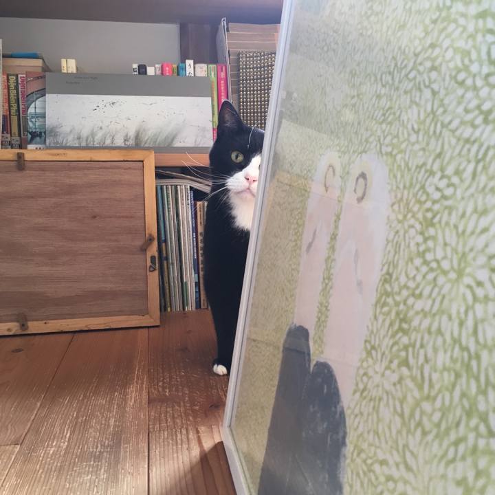 F15a3352 fde5 4dbf 9370 2b12a21cb69a 1536450060373