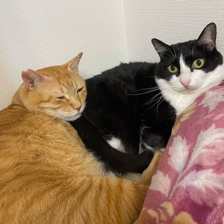 F15a458a 58b8 4b3d 8c89 d6abc3b95770 1625062066956