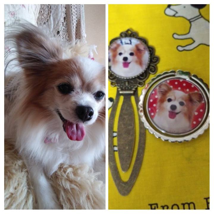 F15a78b3 a9b6 4a7a a8fa 94157fe30d1f 1595947231264