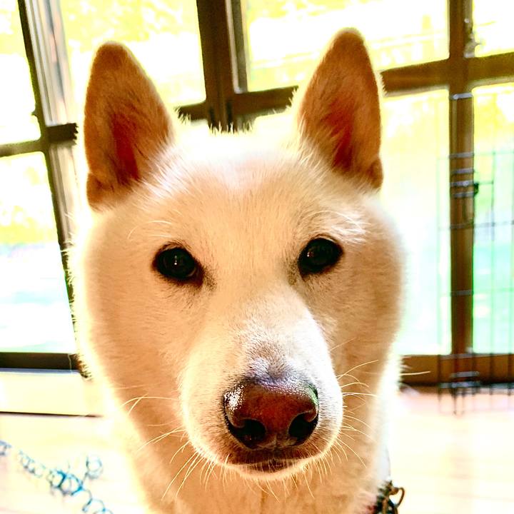 F15a7d73 a155 4436 a534 28959a080d10 1590698071236