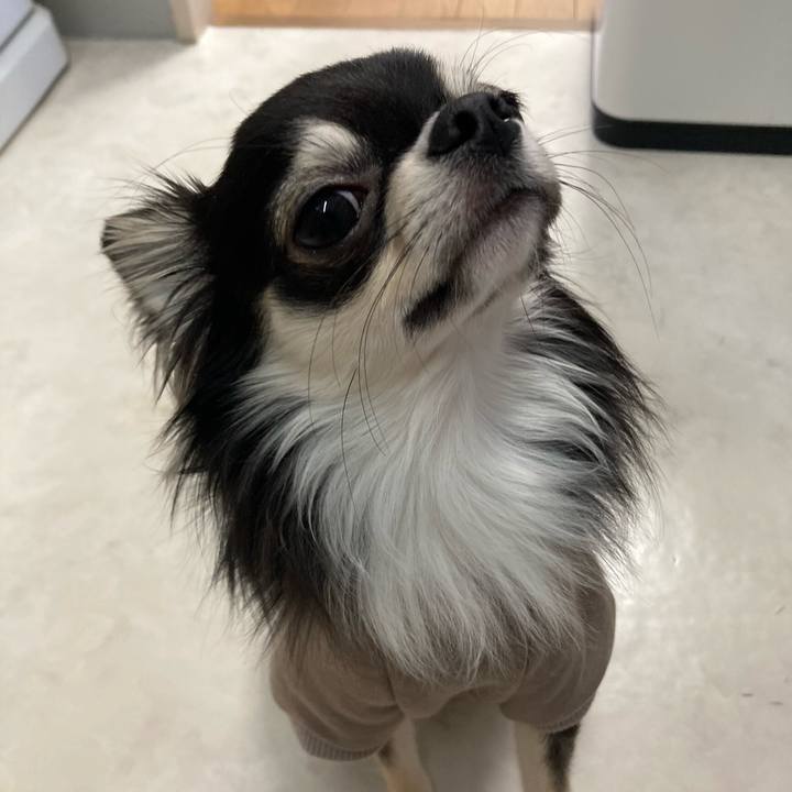 F15ab22c 07af 41fc 8847 f5902e48faba 1609631783605